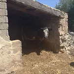 Antico Frantoio