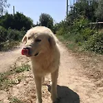 Antico Frantoio Séjour à la ferme *