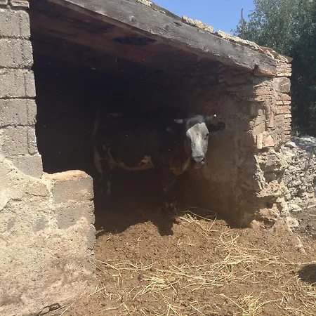 Antico Frantoio