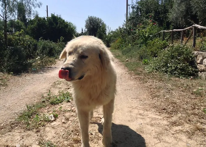 Antico Frantoio Alojamento de Turismo Rural *